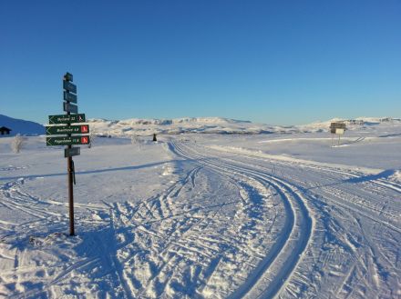 Reineskarvet sett fra Storemyr